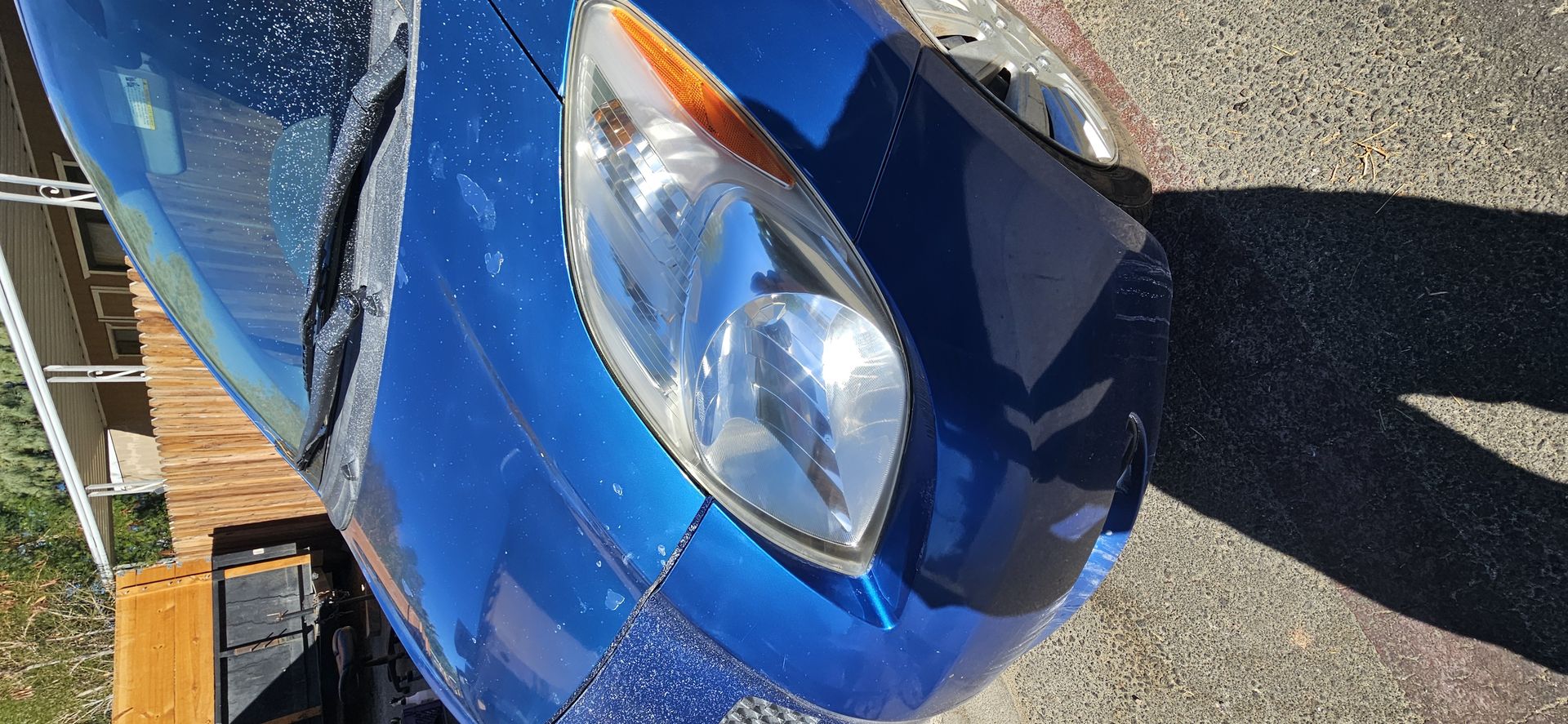 1000016560